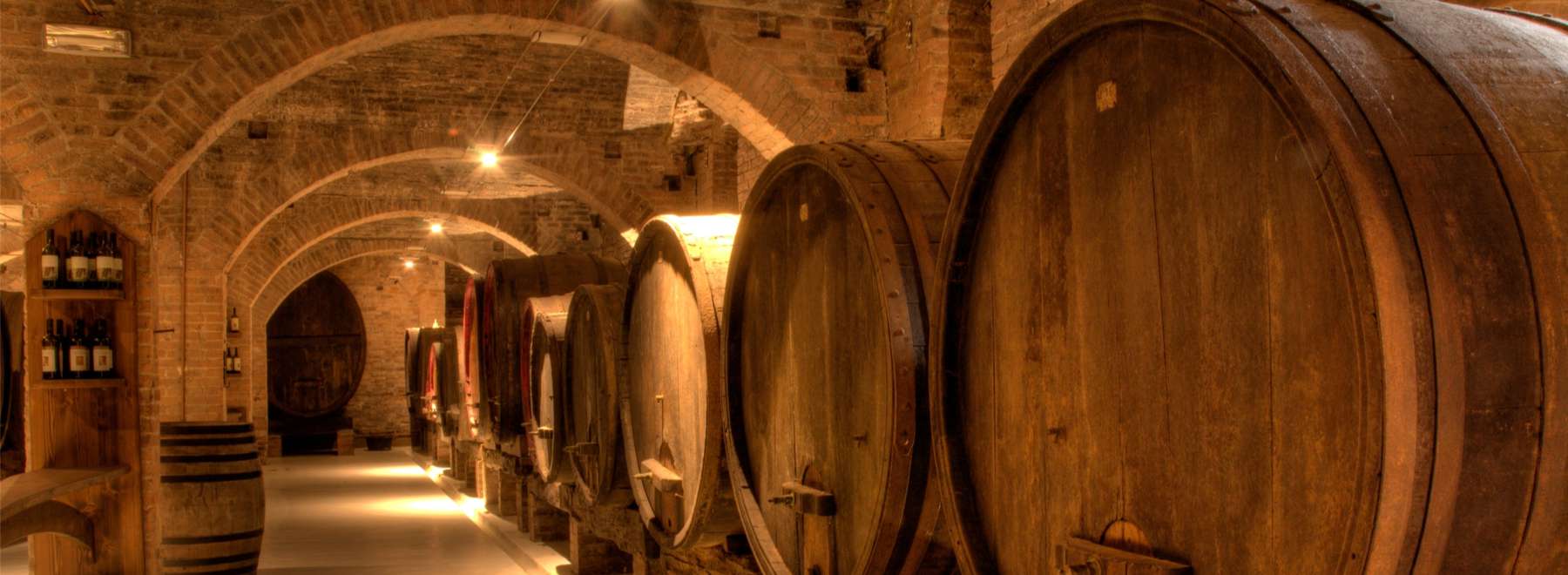 Wine Celler in Tuscany